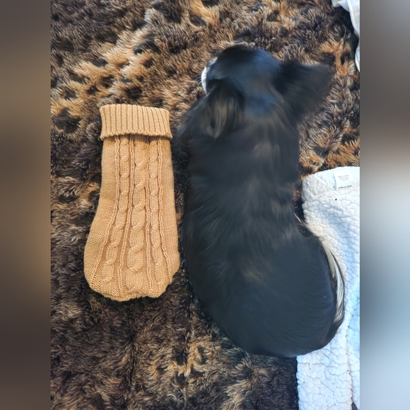 Dog sweater xs - Picture 5 of 6